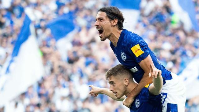 包含沙尔克官方宣布新援加盟，提升球队整体实力的词条